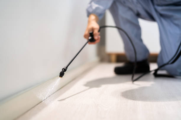 Licensed Pest Control service in Paducah, KY - Show Me Pest Control