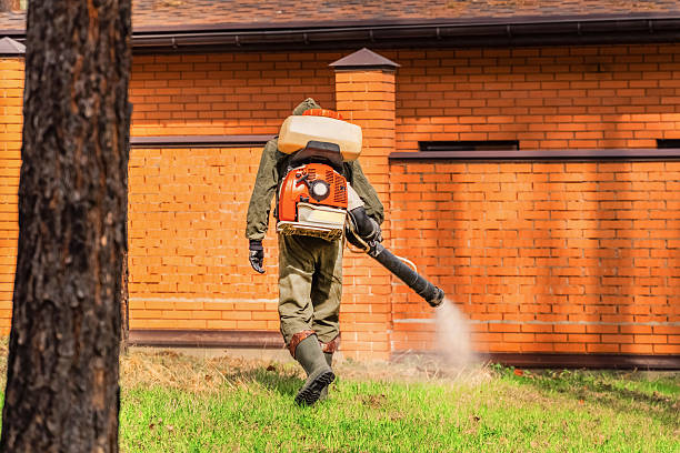 Bed Bug Clearance Verification and Documentation in Paducah